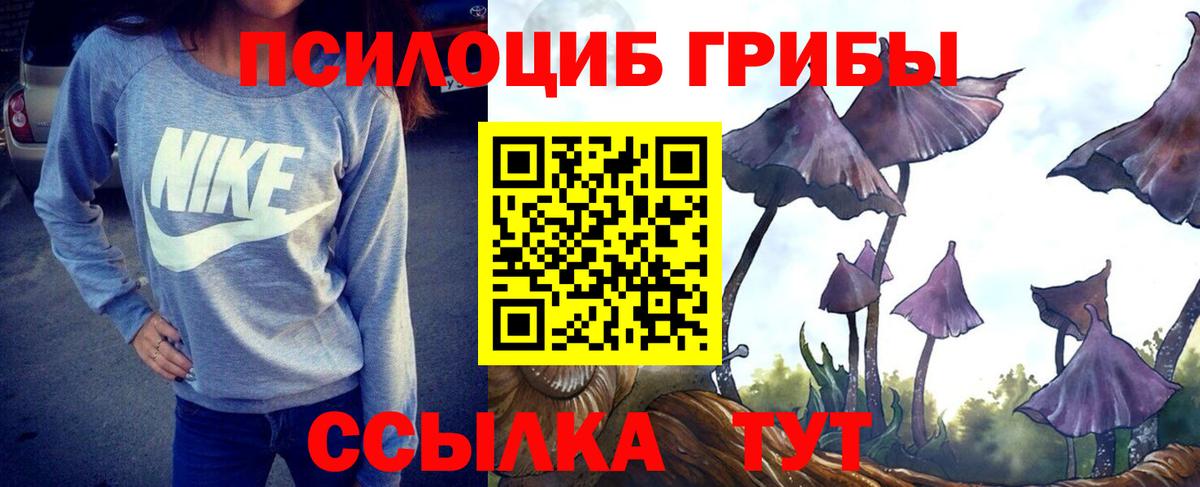 Псилоцибиновые грибы Psilocybine cubensis  Псилоцибиновые грибы ЛСД  Туапсе  где можно купить   Вход с VPN 